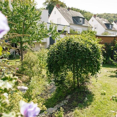 Ferienwohnung Am Breyer Talbach Exteriör bild